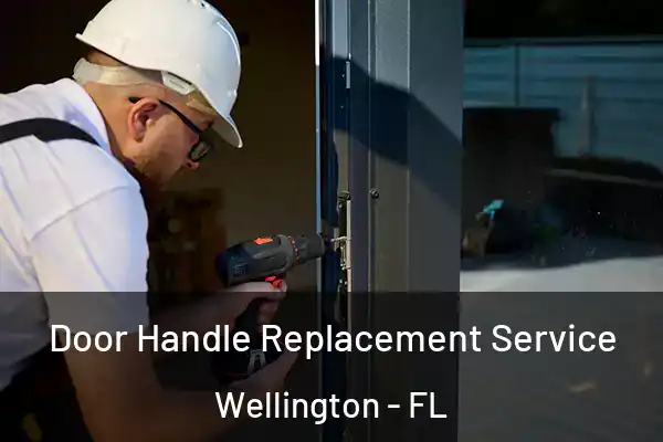Door Handle Replacement Service Wellington - FL