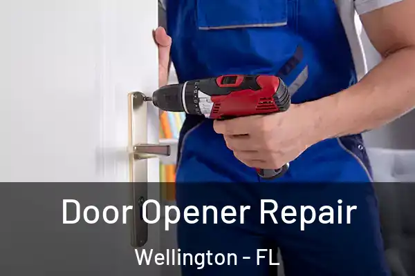  Door Opener Repair Wellington - FL