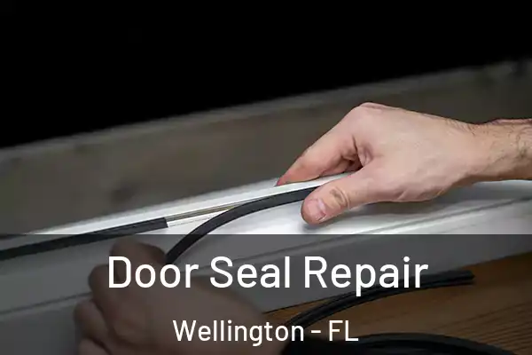  Door Seal Repair Wellington - FL