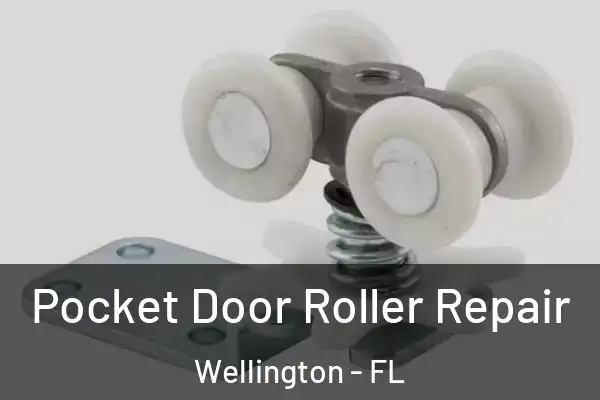  Pocket Door Roller Repair Wellington - FL